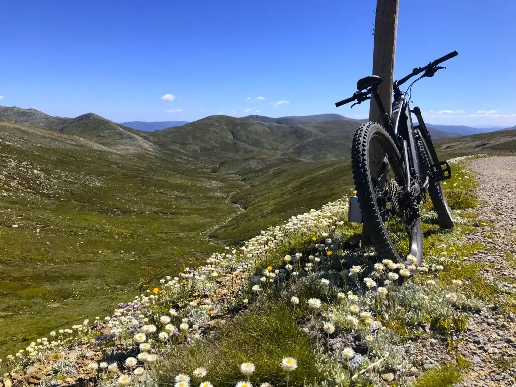 Mountain bike overlooking alpine wildflowers and valleys
